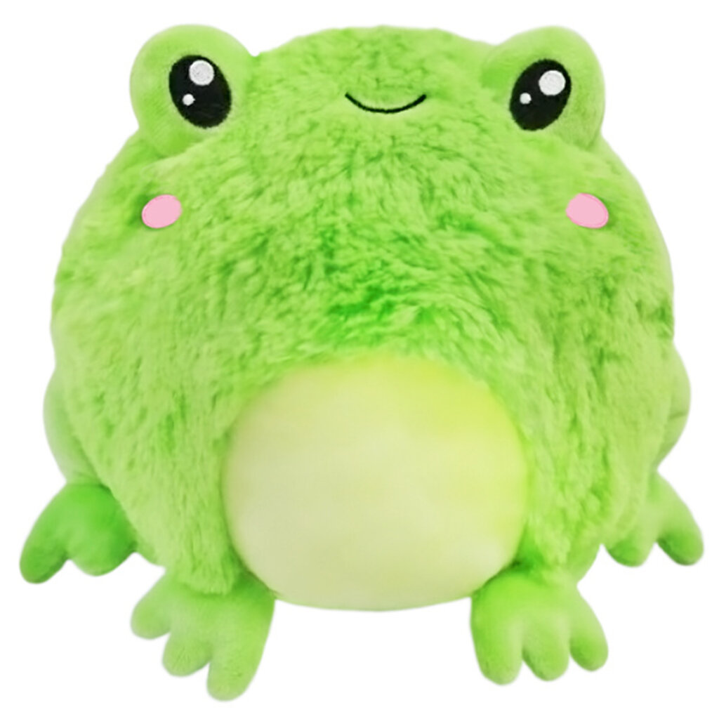 Mini Frog - BrainyZoo Toys