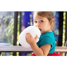 LumieWorld LumiPets Bear & Remote