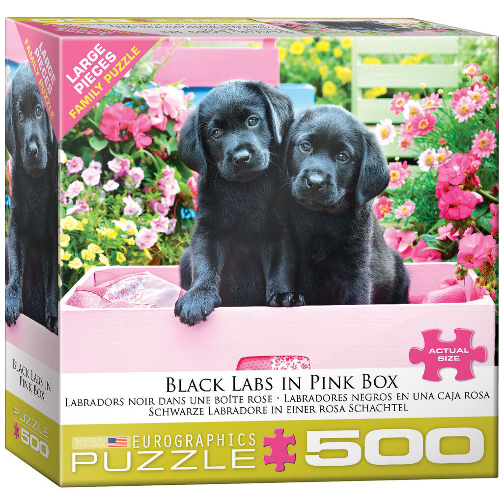 EUROGRAPHICS 500pc Black Labs in Pink Box