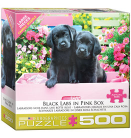 EUROGRAPHICS 500pc Black Labs in Pink Box