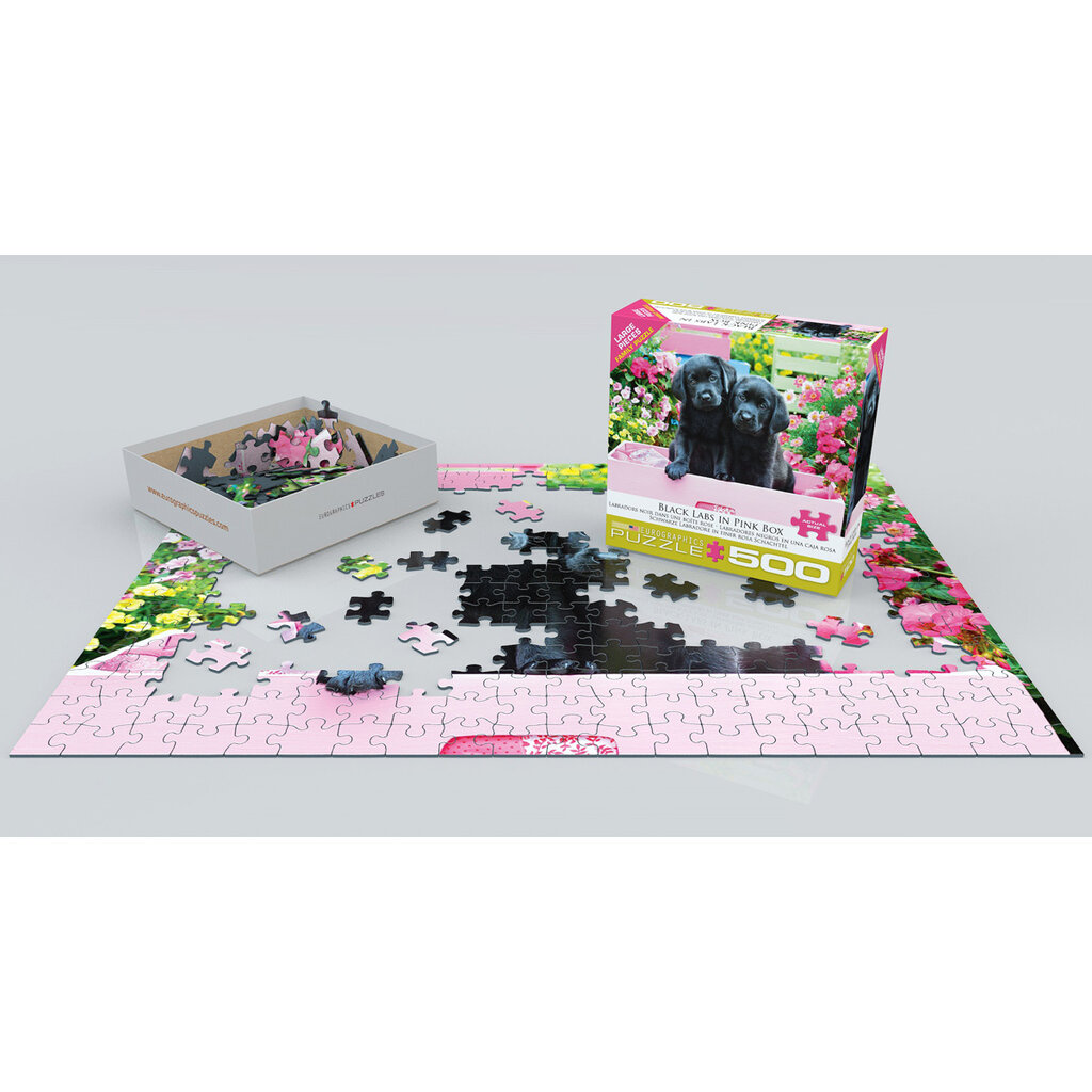 EUROGRAPHICS 500pc Black Labs in Pink Box