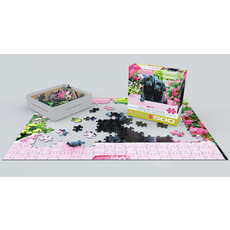 EUROGRAPHICS 500pc Black Labs in Pink Box