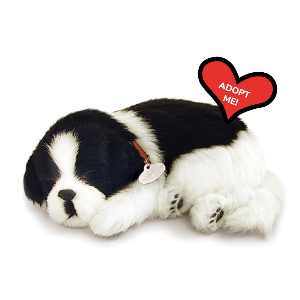 Border Collie PP - BrainyZoo Toys