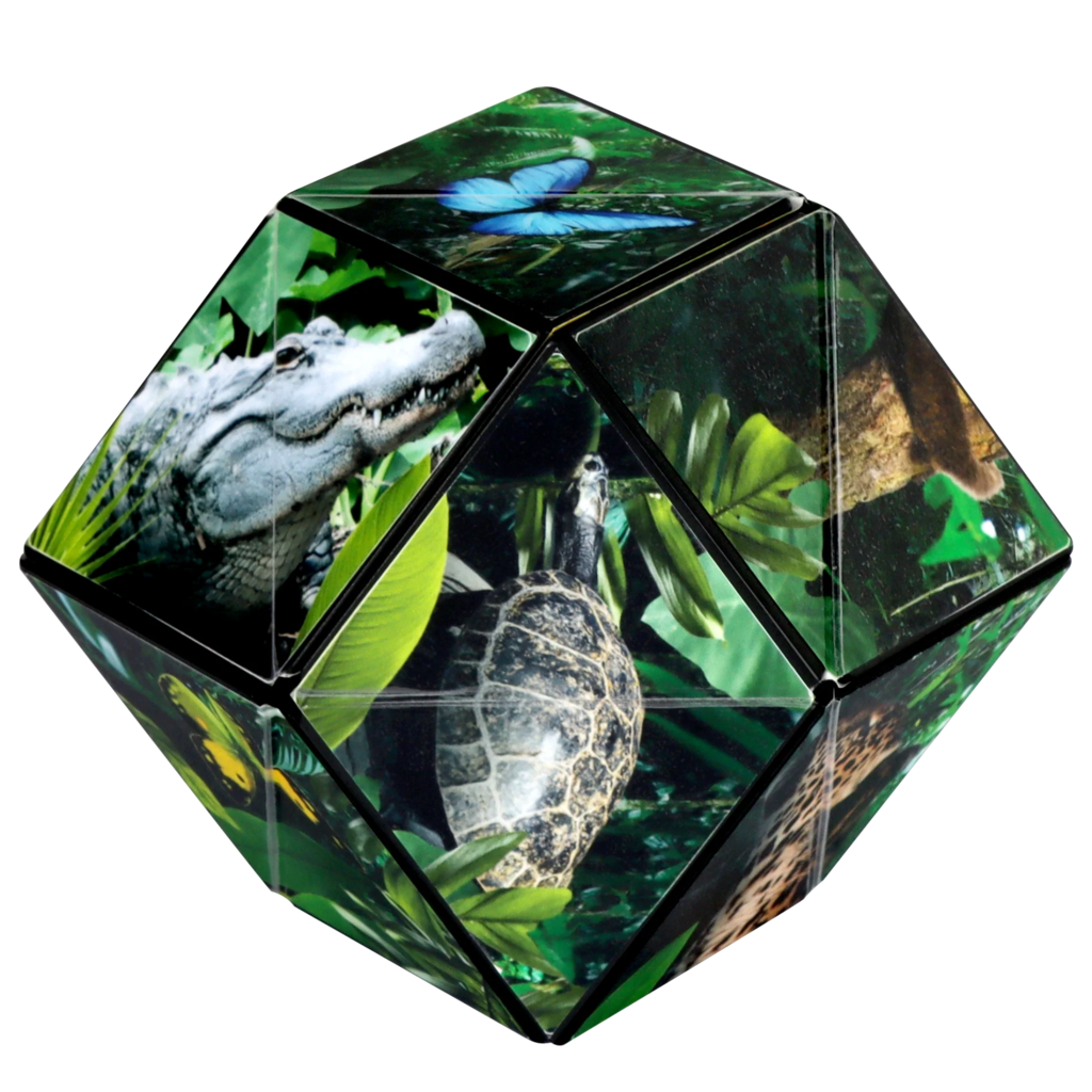 FUN IN MOTION Shashibo Jungle