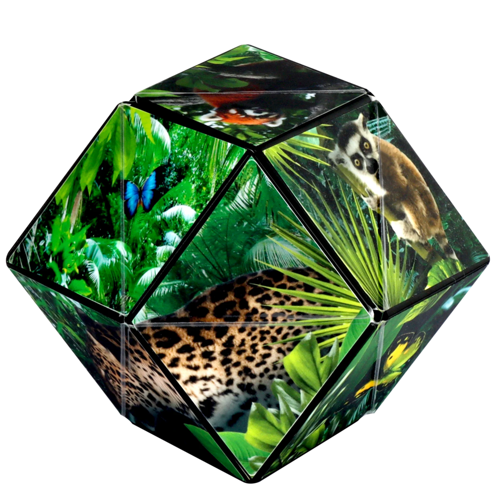 FUN IN MOTION Shashibo Jungle