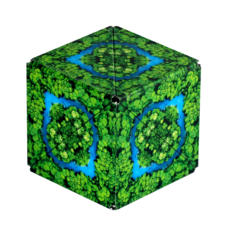 FUN IN MOTION Shashibo Jungle