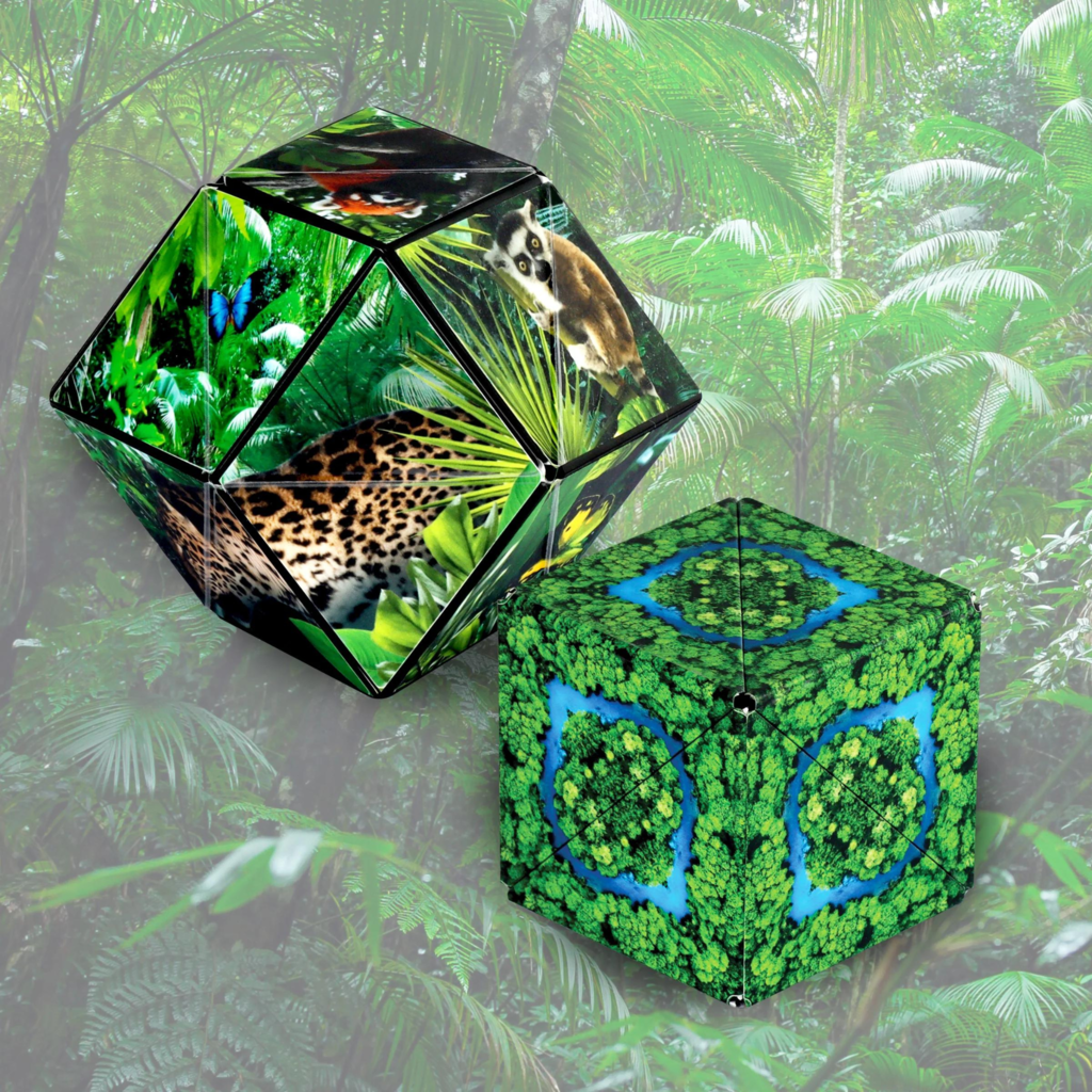 FUN IN MOTION Shashibo Jungle