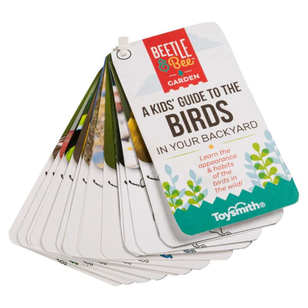 TOYSMITH Little Birder Bird Watching Set