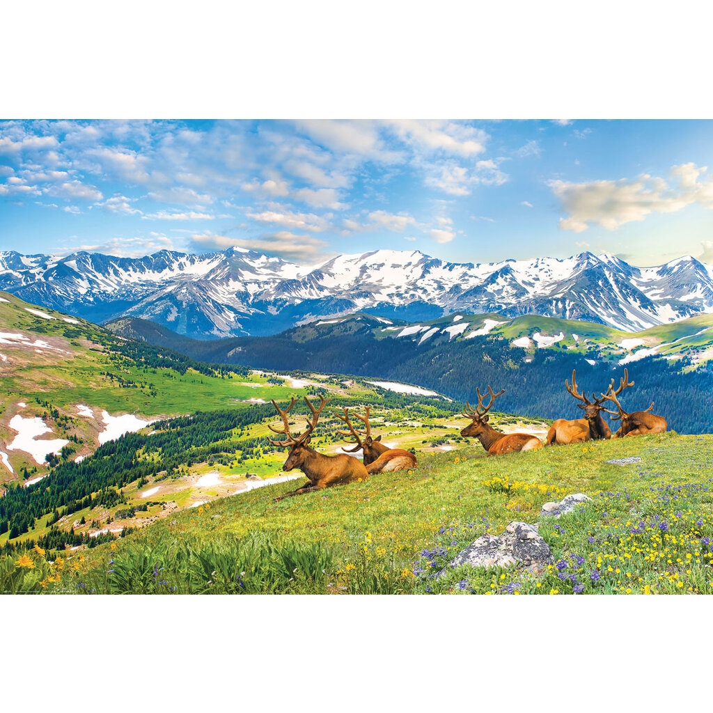 EUROGRAPHICS 1000pc Mountain Elk