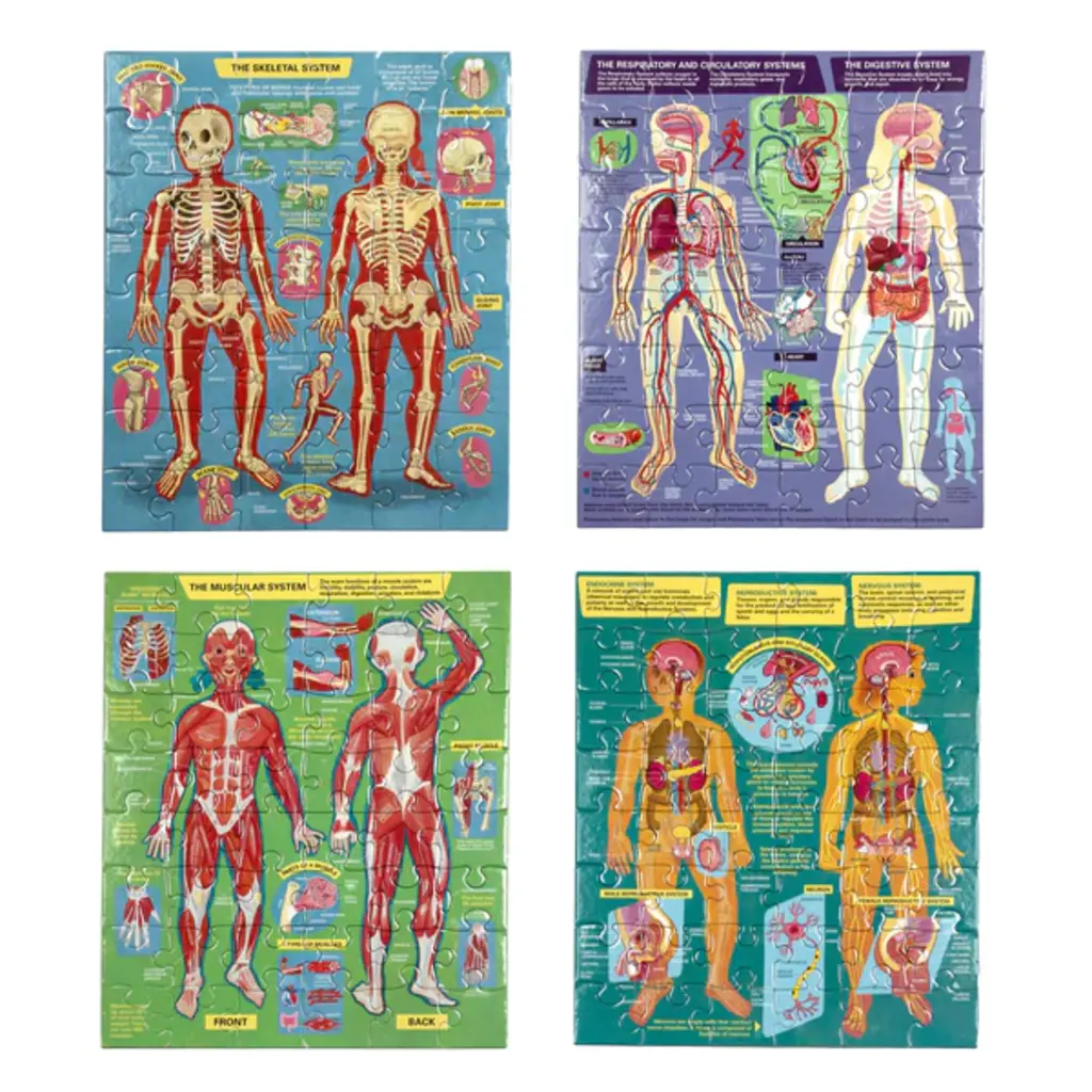 EEBOO Human Anatomy Puzzles 48 pcs