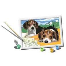 RAVENSBURGER Jack Russell Puppies Paint By Number Set