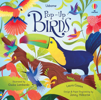 Birds Magic Painting Book - BrainyZoo Toys