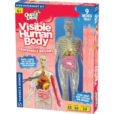 THAMES & KOSMOS Visible Human Body