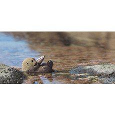 SAFARI Sea Otter EUGY