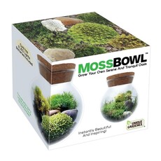 SILVER CIRCLE PRODUCTS Moss Bowl - Grow Your Own Oasis