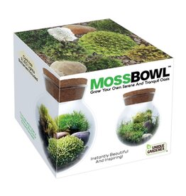 SILVER CIRCLE PRODUCTS Moss Bowl - Grow Your Own Oasis