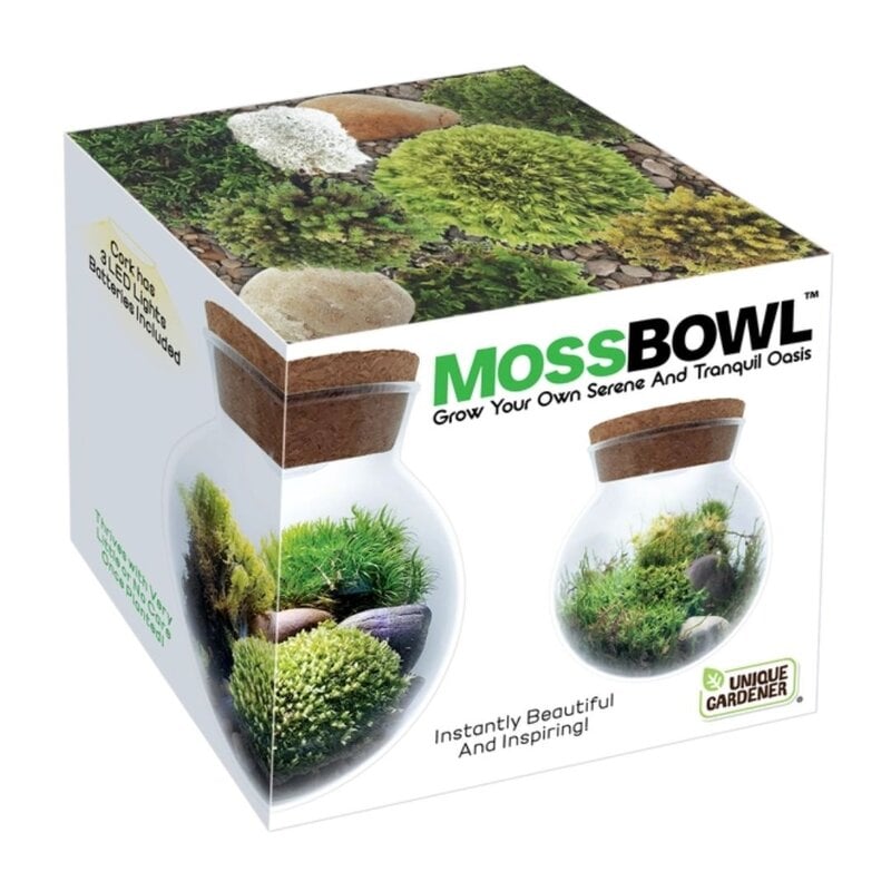 SILVER CIRCLE PRODUCTS Moss Bowl - Grow Your Own Oasis