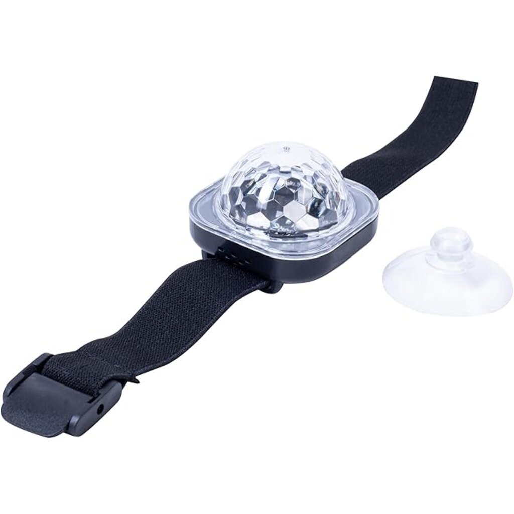 FIZZ CREATIONS Disco Wristband