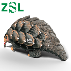 SAFARI Pangolin EUGY