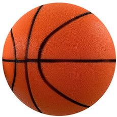 INCREDIBLE GROUP INC The Incredible B-Ball
