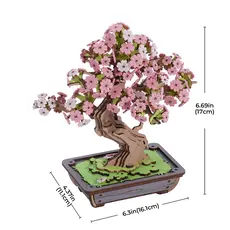 ROBOTIME Sakura Bonsai (RT)