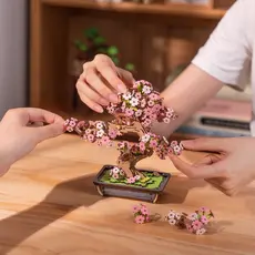 ROBOTIME Sakura Bonsai (RT)