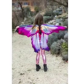 CREATIVE EDUCATION Ombre Soft Butterfly Wings