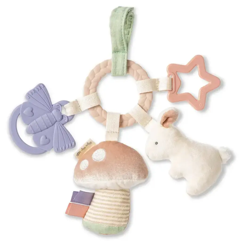 ITZY RITZY Bunny Bitzy Busy Ring Teething Activity Toy