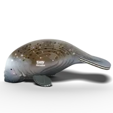 SAFARI Manatee Eugy