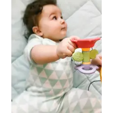TOYLAB Spinning Flower Teether