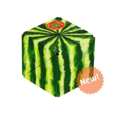 FUN IN MOTION MW Hyper Melon Shashibo