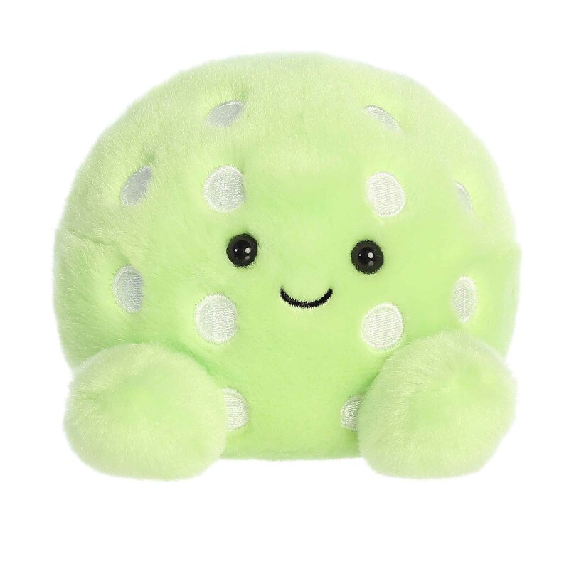 AURORA 5" Steve Pickleball