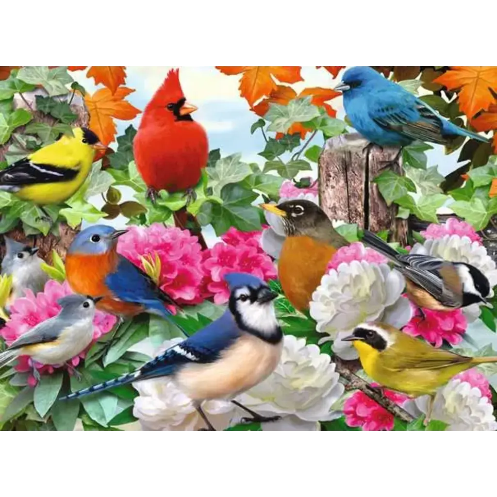 RAVENSBURGER Garden Birds 500 pc Puzzle