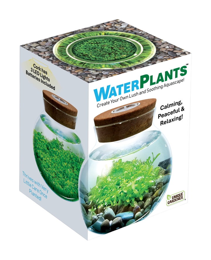 WaterPlants Kit