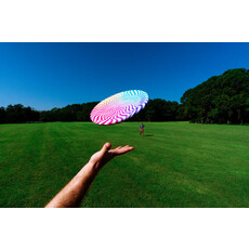 WABOBA Big Wing Flying Disc