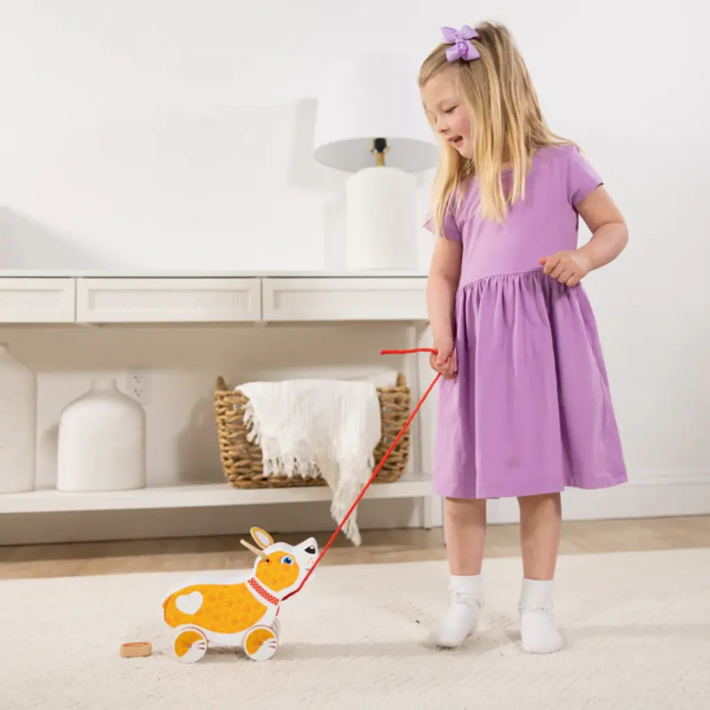 MELISSA & DOUG Feed, Walk, and Poo Pup