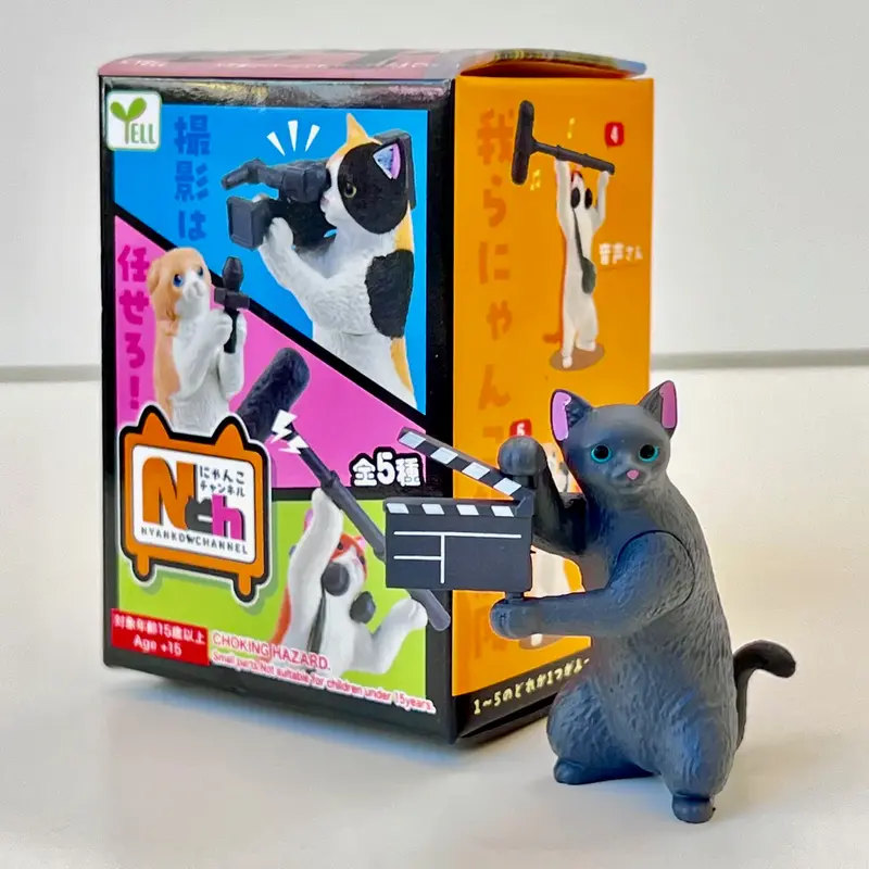 BC USA Social Media Cats Blind Box