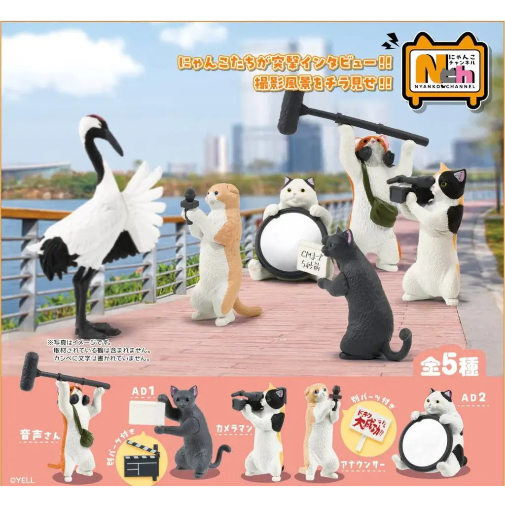 BC USA Social Media Cats Blind Box