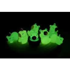 BC USA Capybara Glow-in-Dark Blind Box