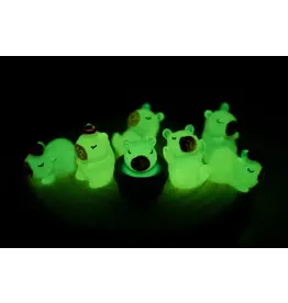 BC USA Capybara Glow-in-Dark Blind Box