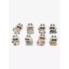 BC USA Stargaze Cat Blind Box