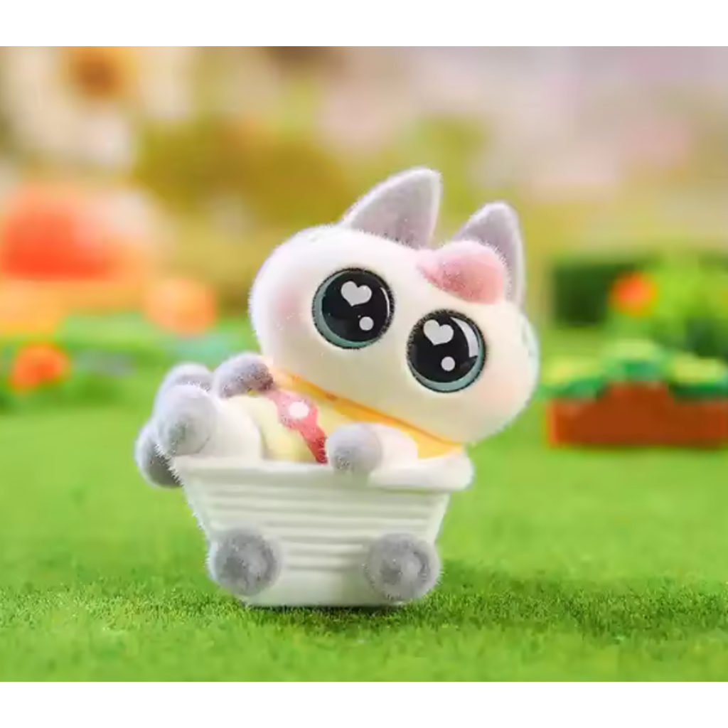 BC USA Stargaze Cat Blind Box