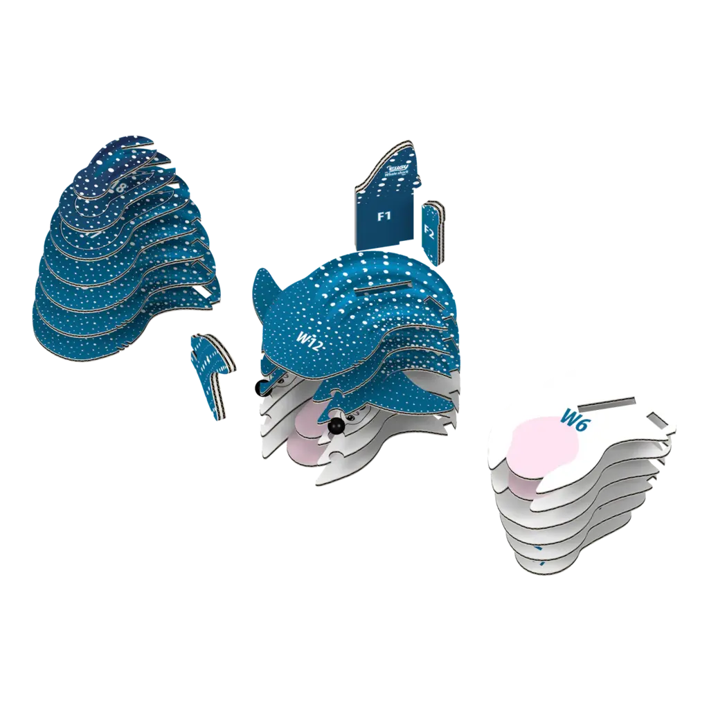 SAFARI Whale Shark EUGY