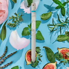 LIFELINES Pen Diffuser - Cotton Candy