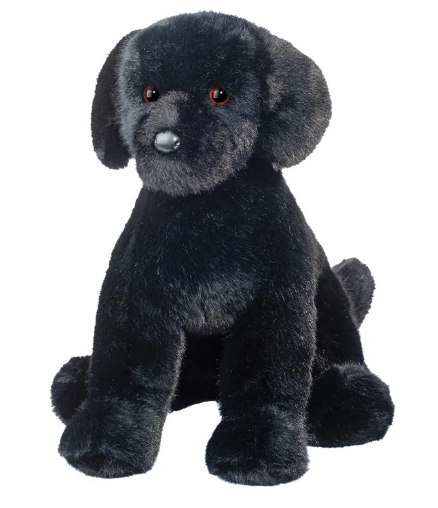Spruce Black Lab