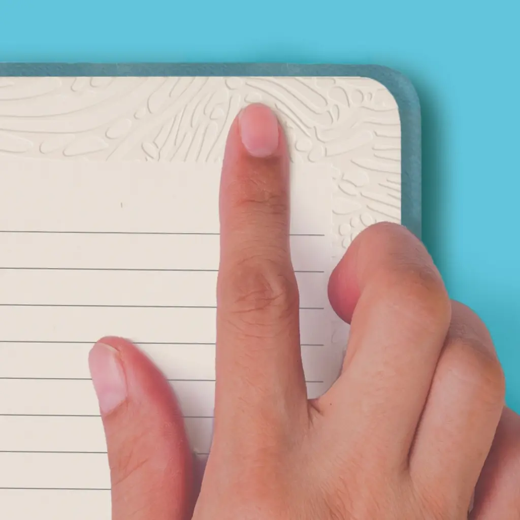 LIFELINES Lifelines Writing Bundle