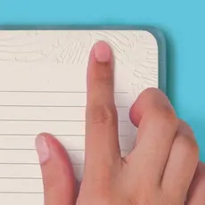 LIFELINES Lifelines Writing Bundle