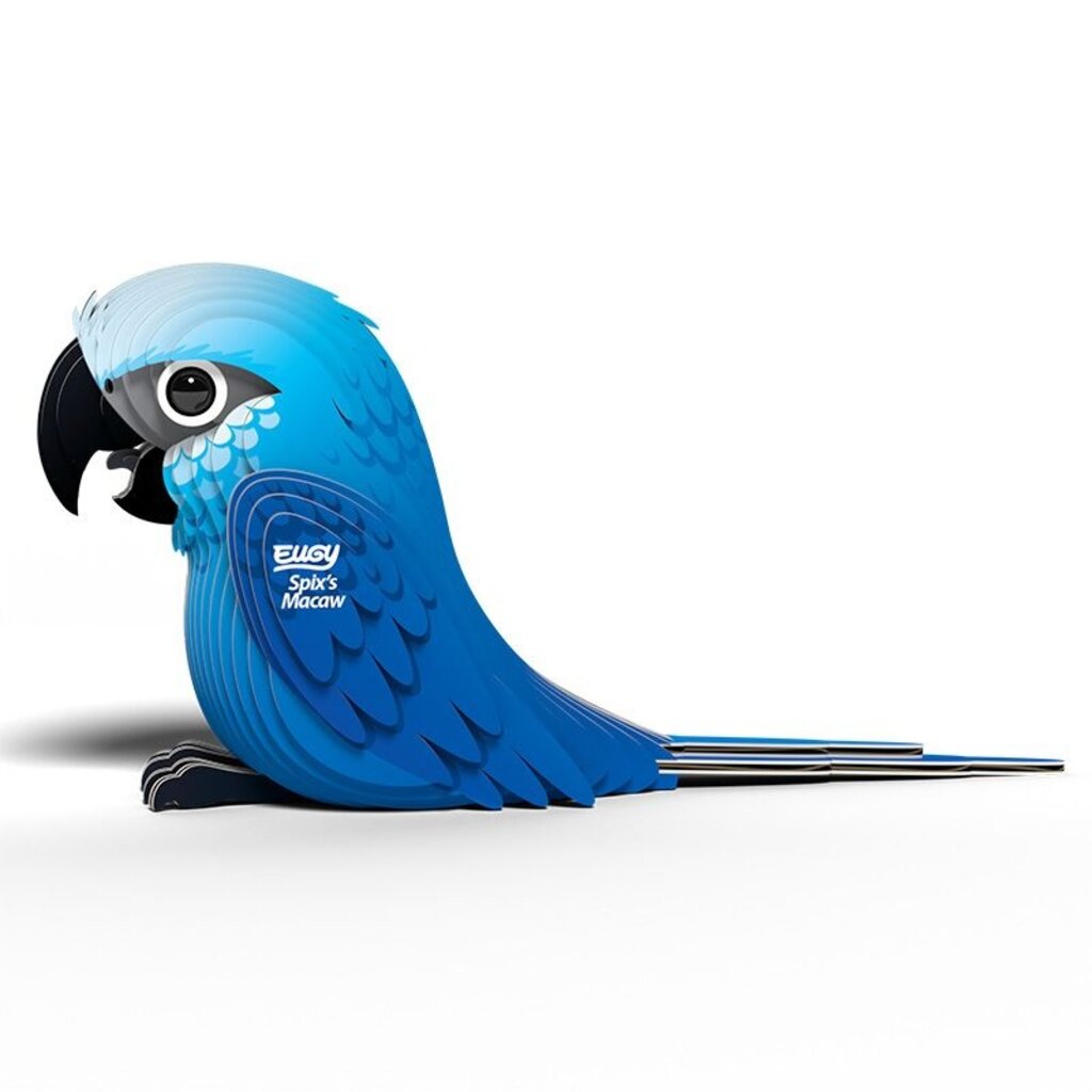 SAFARI Spix's Macaw EUGY