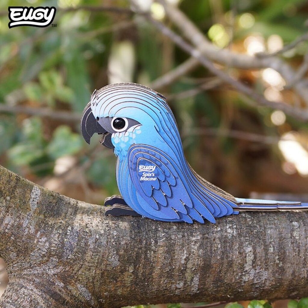 SAFARI Spix's Macaw EUGY