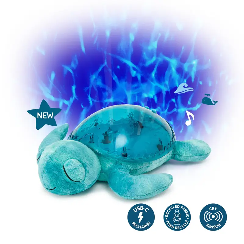 PJM DISTRIBUTION Tranquil Turtle Aqua